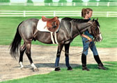 Hunter, Equine Art - Roan Pony